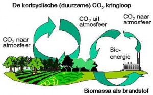 co2kringloop-300x187